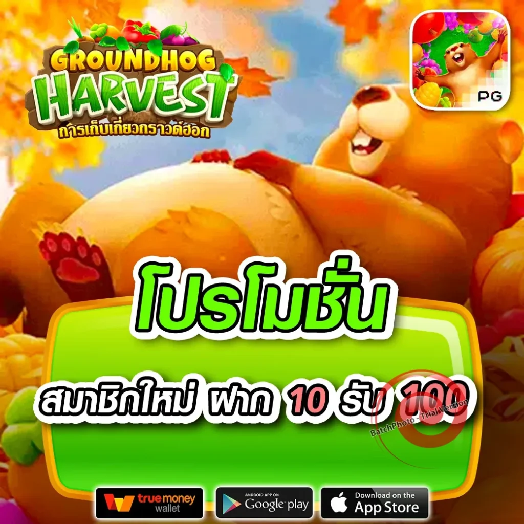 168 mawin สมัครฟรี